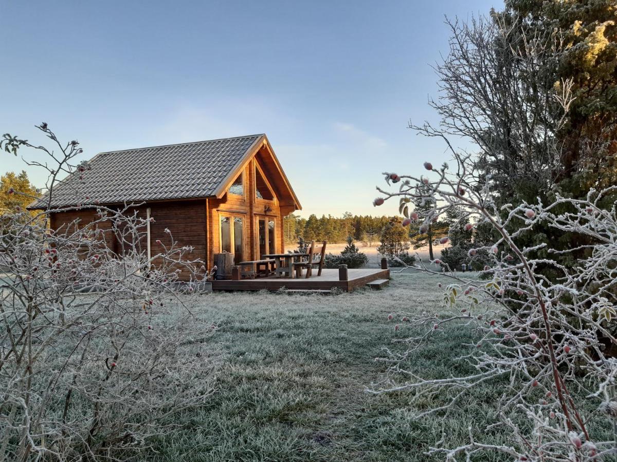 Valipe Puhkemaja Villa Exteriör bild